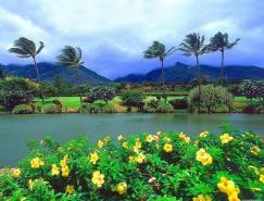 美图欣赏：大自然中漂亮的绿色