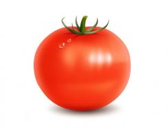 Photoshop制作鲜红的逼真番茄