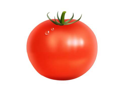 Photoshop制作鲜红的逼真番茄