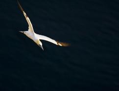 Craig&nbsp;Easton壮观的摄影作品欣赏