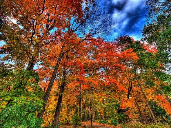 25张美丽的秋天景色照片