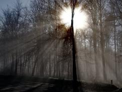 16张美丽的阳光光束照片