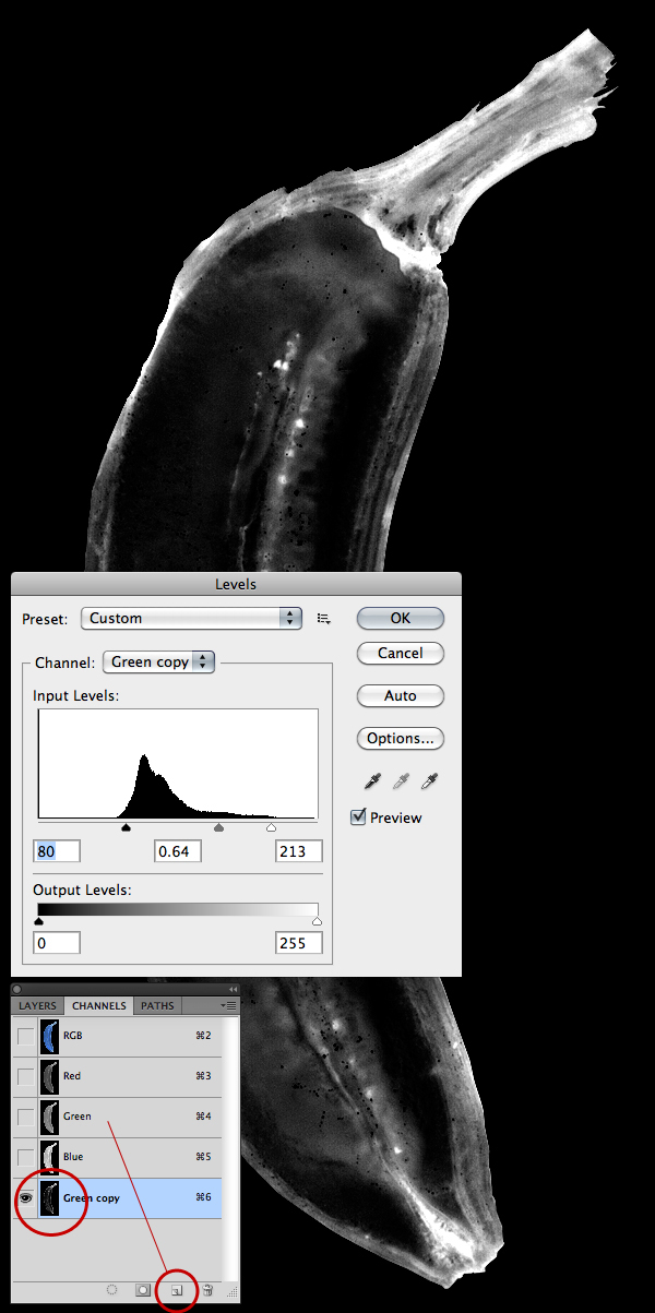 photoshop绘制一个模拟X射线香蕉图像