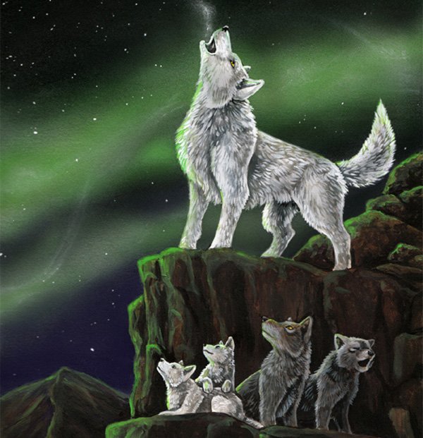 自然和动物：MoonsongWolf插画欣赏