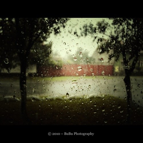 70张漂亮的雨天摄影作品