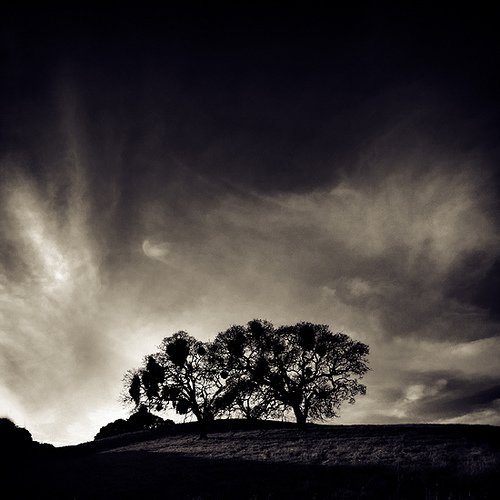 宁静的美：Jeff Masamori自然风光摄影欣赏