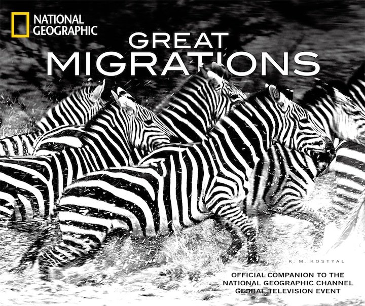 国家地理：动物大迁徙