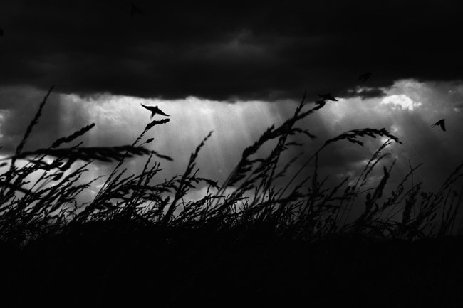 大自然的力量：50张风暴摄影照片欣赏