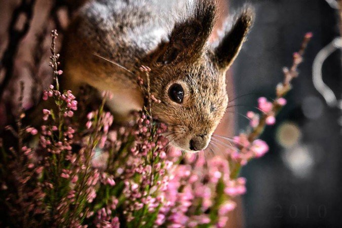 荷兰年青摄影师Sampo Kiviniemi美丽的风光摄影