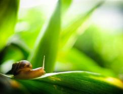 阿根廷摄影师Juan&nbsp;Tomas美丽的自然摄影