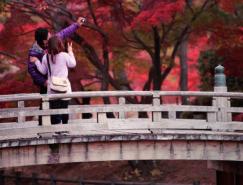 日本yoshi美丽的自然风光摄影