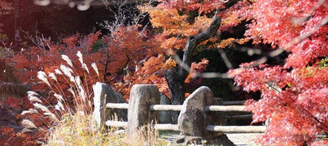日本yoshi美丽的自然风光摄影