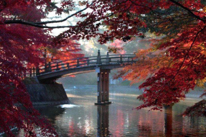 日本yoshi美丽的自然风光摄影