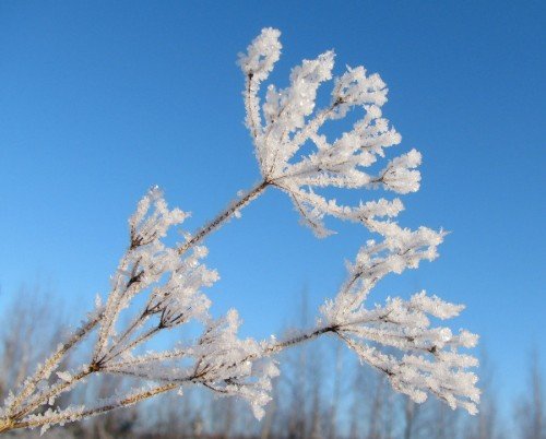 冬天雪景照片欣赏