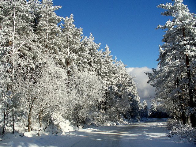 仙境般的冬季摄影作品欣赏