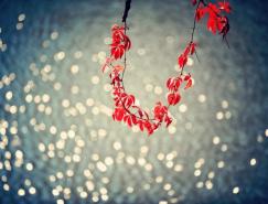 Edgar&nbsp;Barany风景摄影