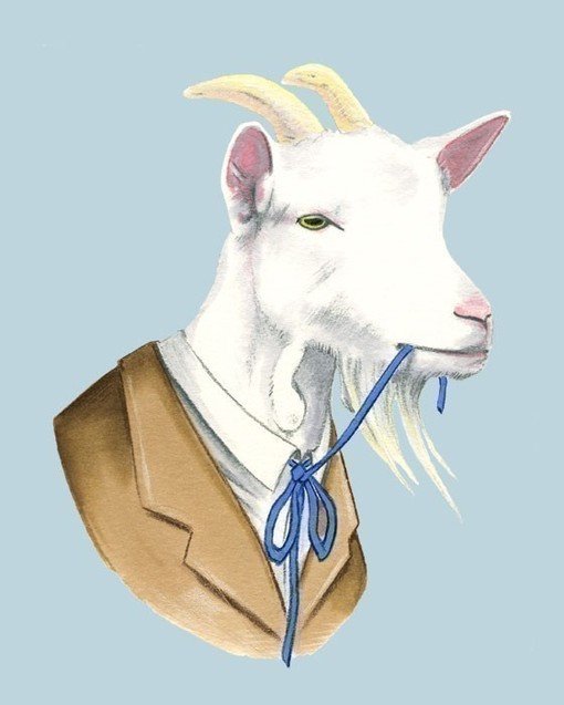 Ryan Berkley动物穿礼服的插画作品