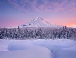 银装素裹的如画景色：冬季精美摄影作品