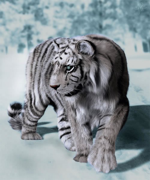 Massimo Righi逼真的动物3D作品