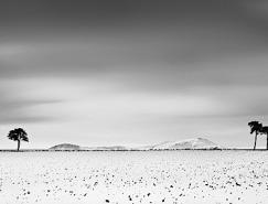 仙境般的黑白雪景照片