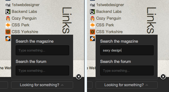不同风格的网页搜索框设计欣赏