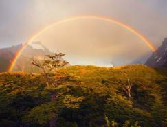 Ian&nbsp;Plant美丽的自然摄影