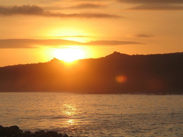 加拉帕戈斯群岛：风光和生态摄影