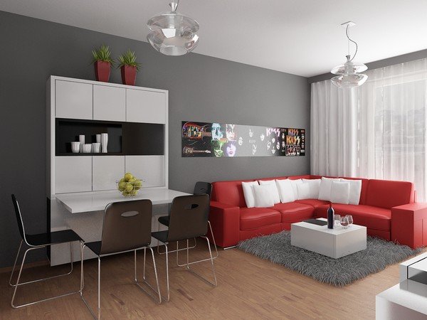 斯洛伐克一套单身小公寓室内设计