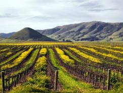 大自然的美:&nbsp;优秀风光摄影欣赏