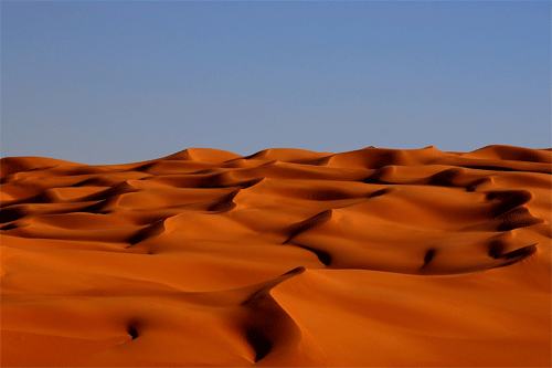 大自然的魅力：30张沙漠摄影作品