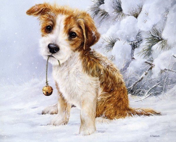 Shirley Deaville画笔下可爱的小狗