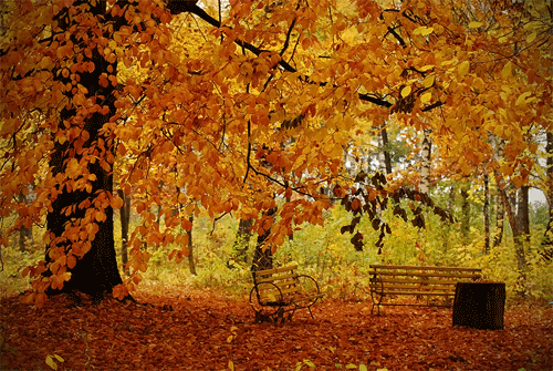 Autumn