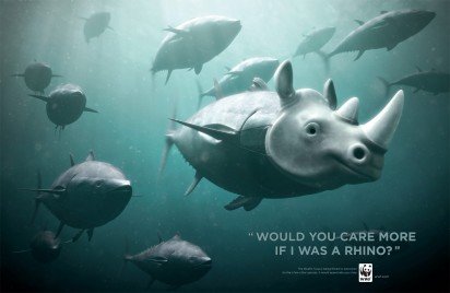 WWF：停止捕杀蓝鳍金枪鱼