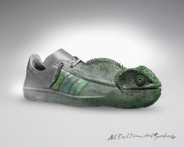 Adidas创意广告作品集
