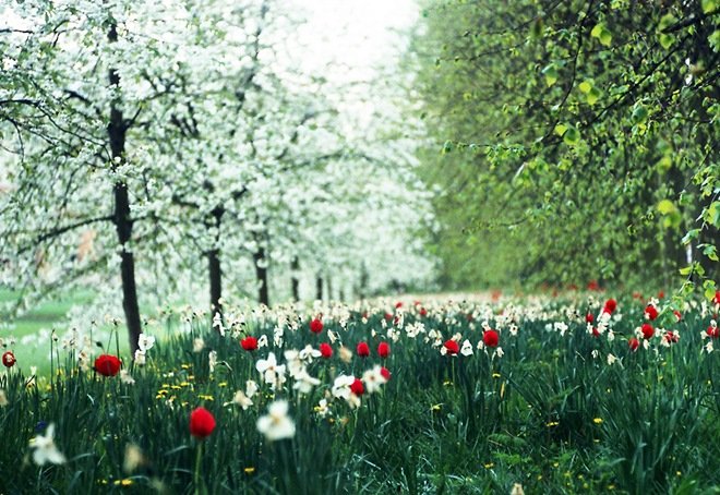 春天摄影：大自然带给我们最好的礼物