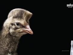 Staudinger&nbsp;Franke创意图像后期处理作品