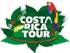 标志设计元素运用实例：鹦鹉