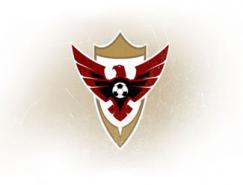 标志设计元素运用实例：老鹰