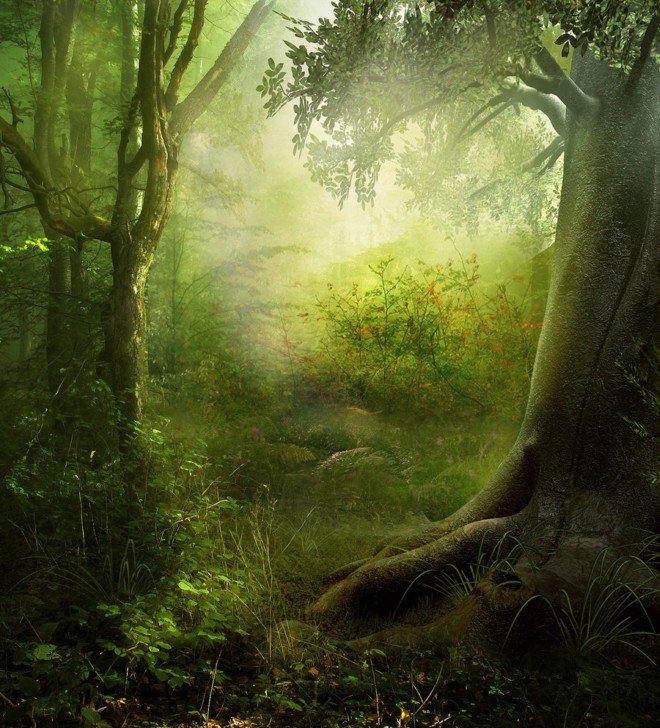 50张精美的森林和热带雨林CG风景欣赏