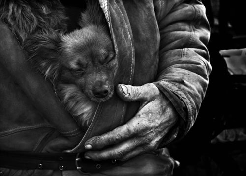 摄影欣赏：人与狗的亲密接触