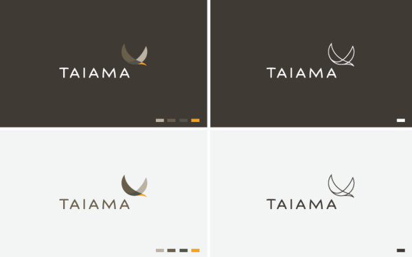 TAIAMA品牌VI设计