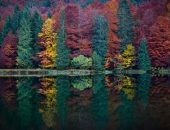 风光摄影：美丽的秋天