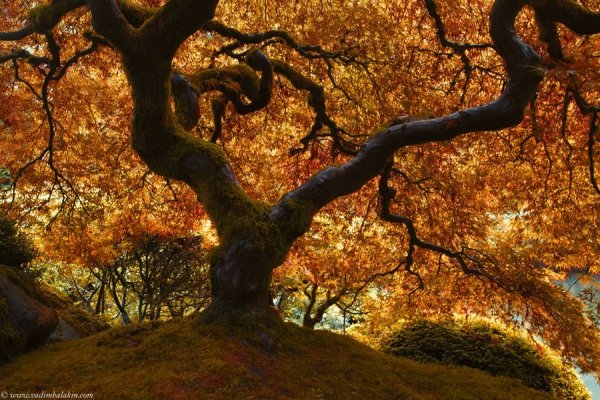 风光摄影：美丽的秋天