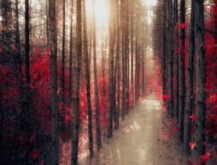 匈牙利Neer&nbsp;Ildiko如画般的风光摄影