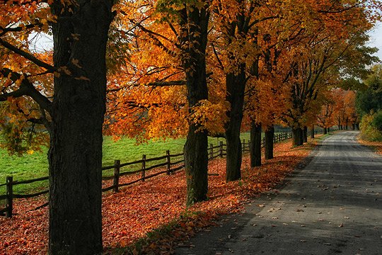 美丽的秋季摄影作品