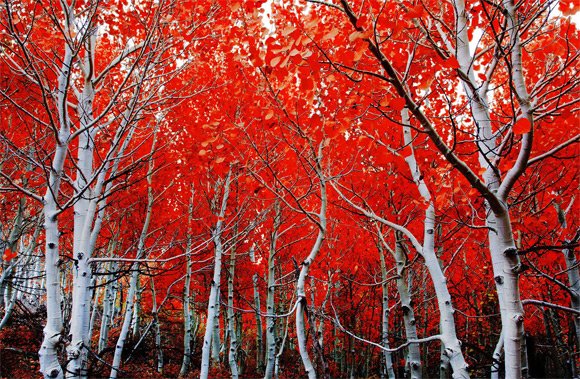 30张美丽的秋天风景摄影(1)