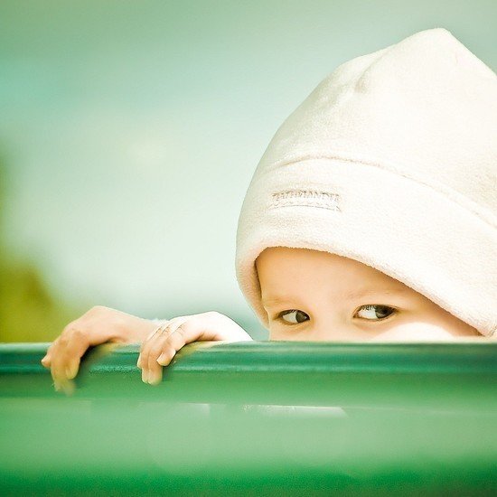 26张绿色主题摄影作品