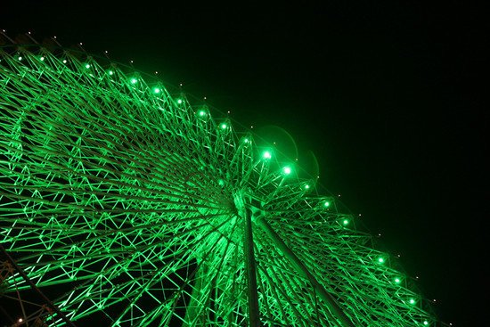 26张绿色主题摄影作品