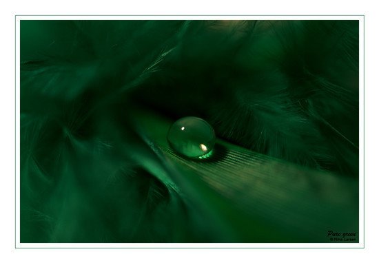 26张绿色主题摄影作品