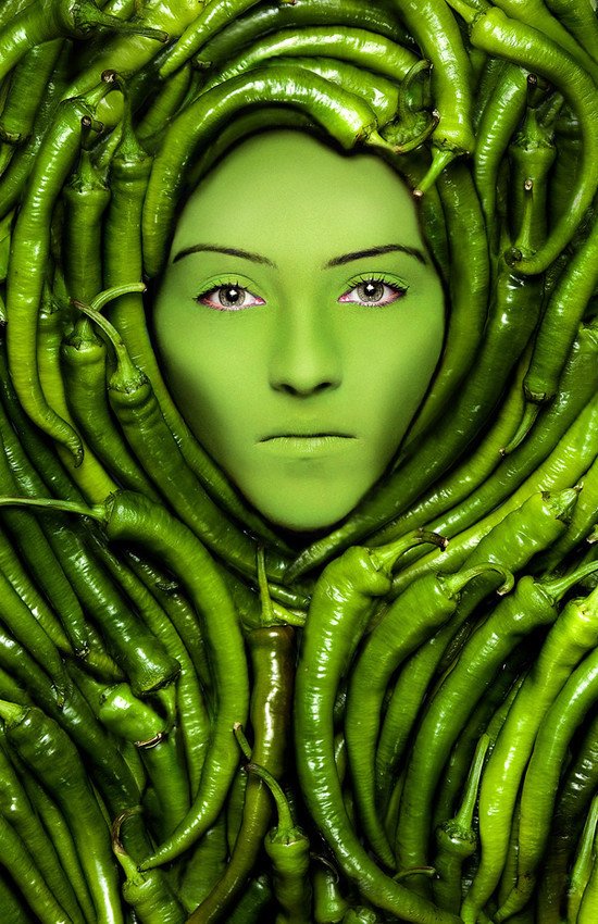 26张绿色主题摄影作品